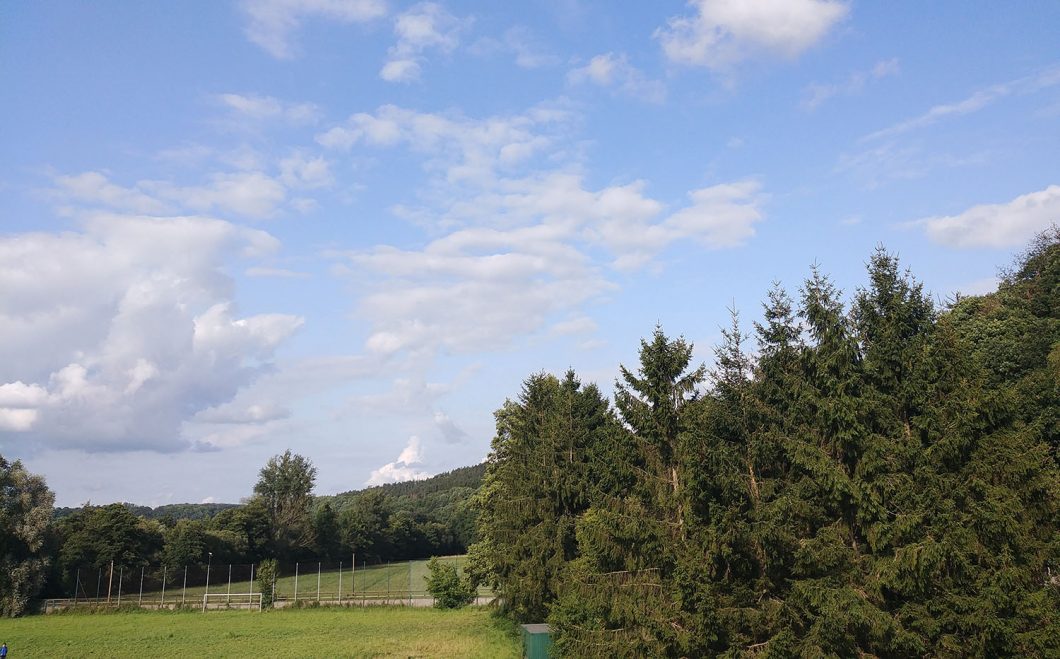 Eifel park photo for homepage