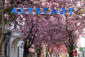 Cherry street Bonn