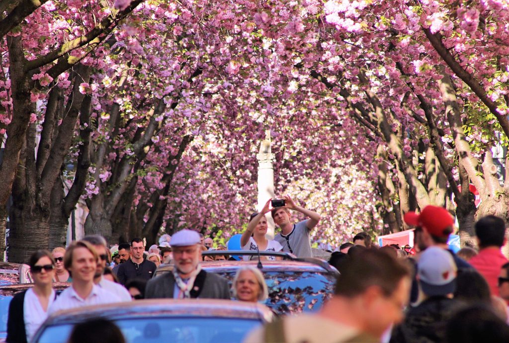 Cherry street Bonn