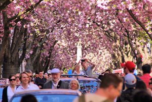 Cherry street Bonn